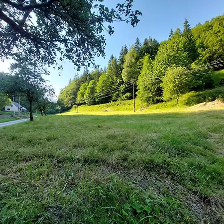 Is Only Meadow * Kolarovice