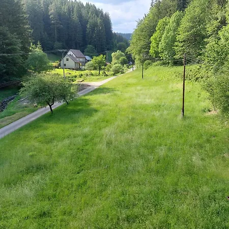 Camping Is Only Meadow *