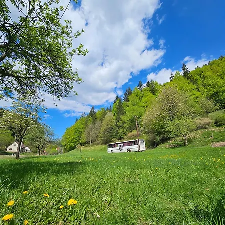 Only Meadow Kolarovice