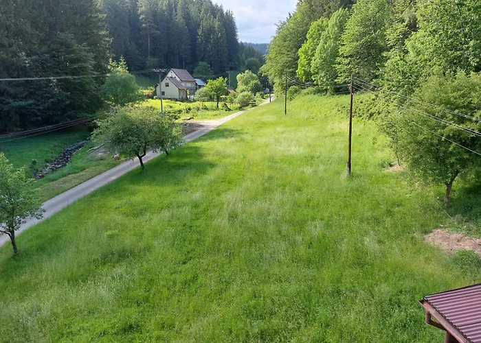 Camping Is Only Meadow *